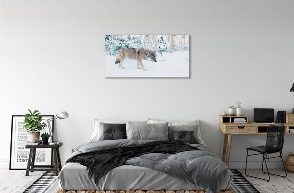Obraz na plátne Vlk v zime lese 100x50 cm