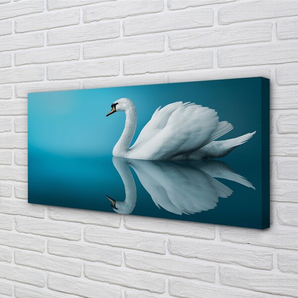 Obraz na plátne Swan vo vode 100x50 cm
