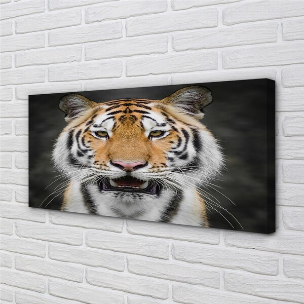 Obraz na plátne tiger 100x50 cm