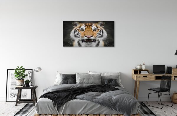 Obraz na plátne tiger 100x50 cm