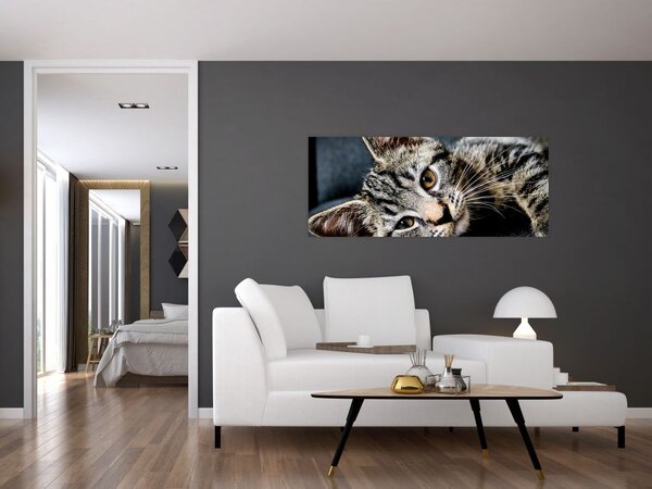 Obraz - Mačiatko (120x50 cm)