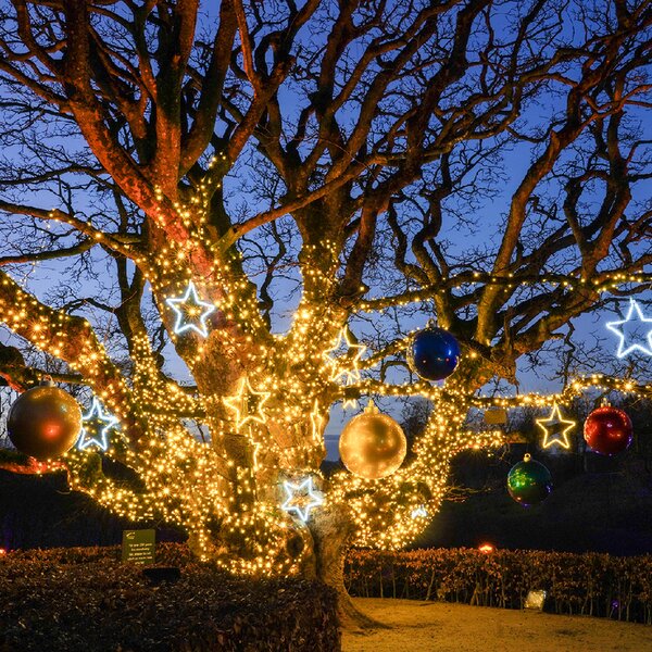 Vonkajšia LED vianočná reťaz PROFI, čierny kábel, teplá biela, 10m, 100 LED