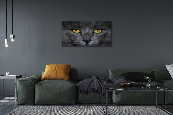 Obraz na plátne Čierna mačka 100x50 cm