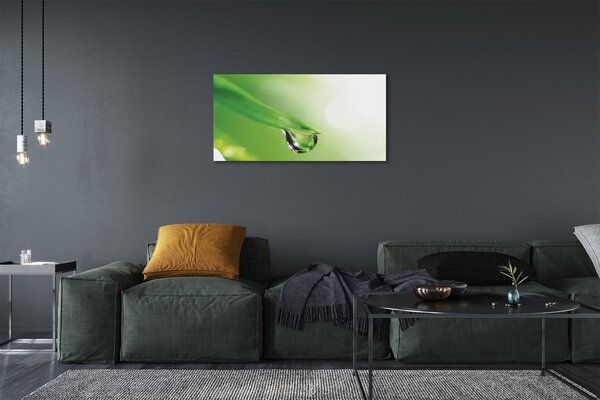 Obraz canvas Drop list slnko 100x50 cm