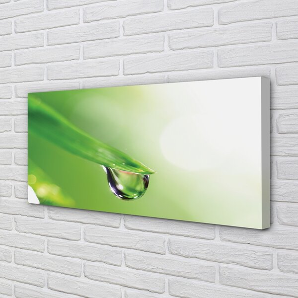Obraz canvas Drop list slnko 100x50 cm