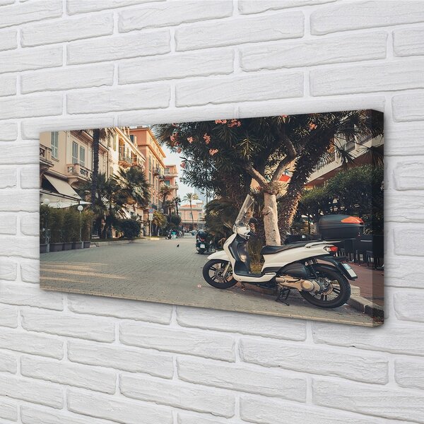 Obraz canvas mestské Motocykle palmového leta 100x50 cm