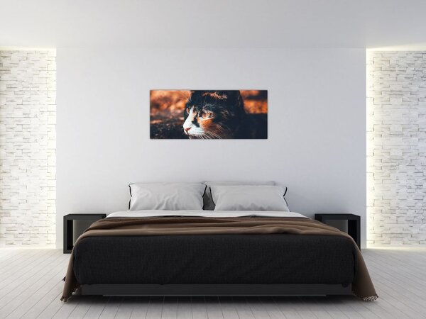 Obraz - Pohľad mačky (120x50 cm)