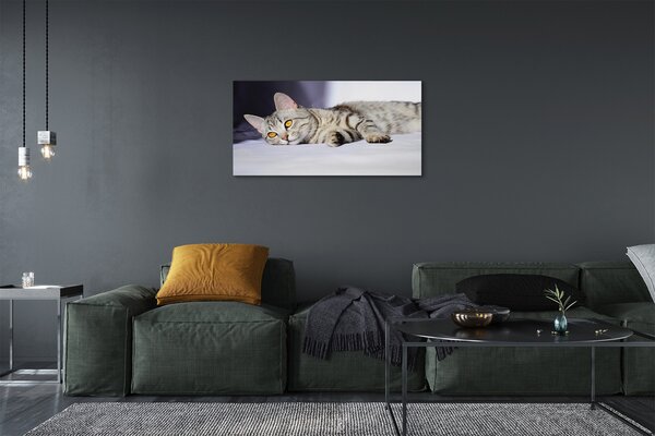 Obraz na plátne ležiace mačka 100x50 cm