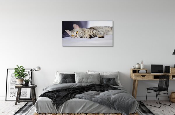 Obraz na plátne ležiace mačka 100x50 cm