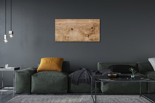 Obraz canvas Plank dreva 100x50 cm