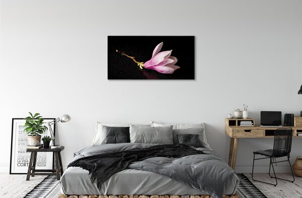 Obraz canvas kvetina voda 100x50 cm
