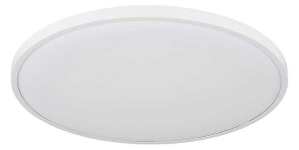 STROPNÉ LED SVIETIDLO, 40/4 cm Globo - Online Only bytové doplnky, Online Only