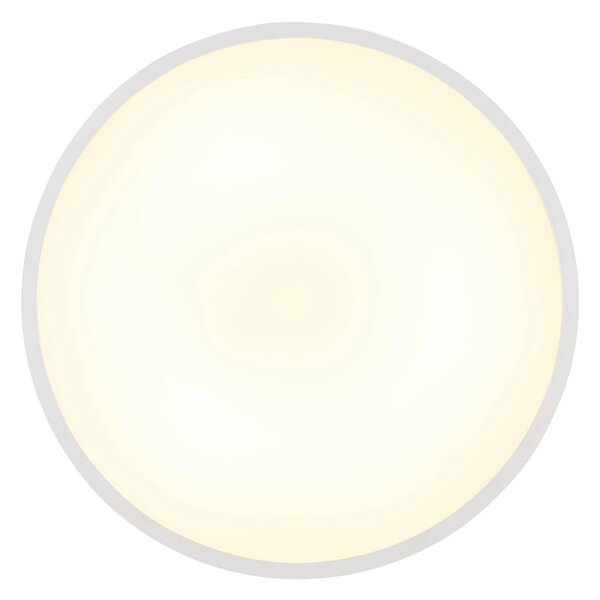 STROPNÉ LED SVIETIDLO, 40/4 cm Globo - Online Only bytové doplnky, Online Only