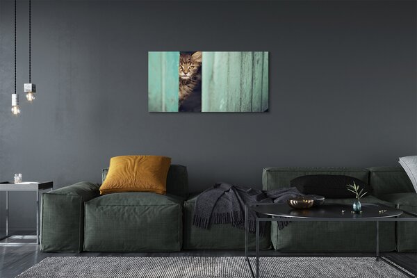 Obraz na plátne Zaglądający cat 100x50 cm