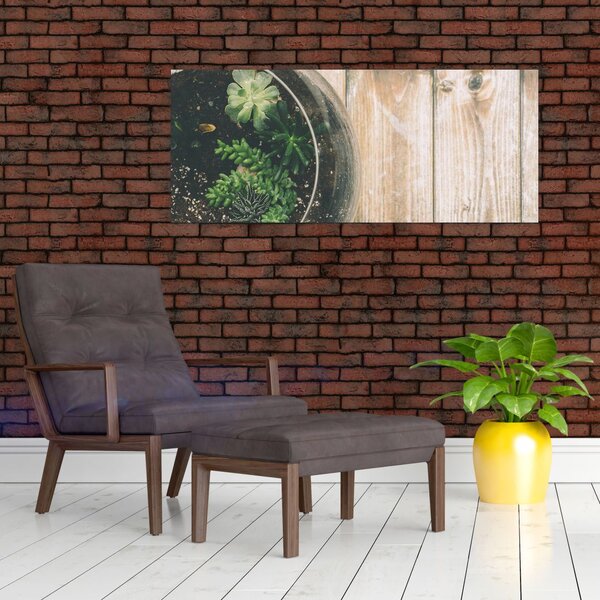 Obraz sukulentov v skle (120x50 cm)