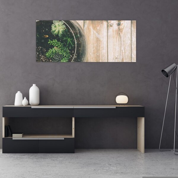 Obraz sukulentov v skle (120x50 cm)
