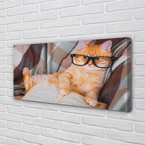 Obraz na plátne čitateľ cat 100x50 cm