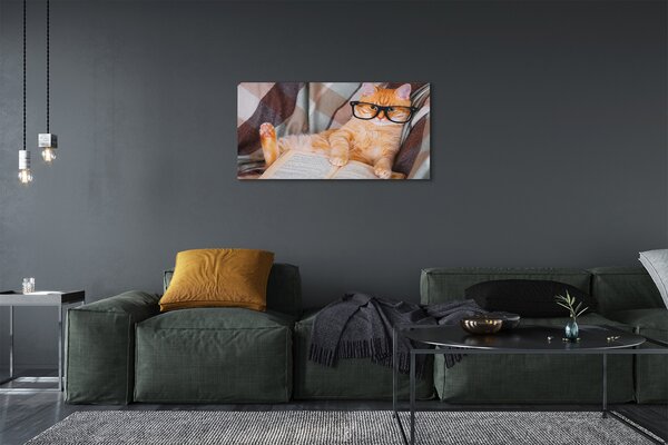 Obraz na plátne čitateľ cat 100x50 cm