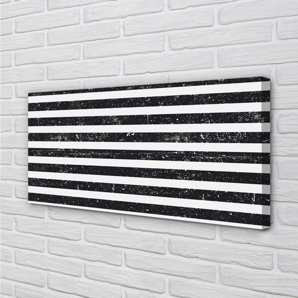 Obraz na plátne Zebra pruhy škvrny 100x50 cm