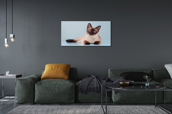 Obraz na plátne ležiace mačka 100x50 cm