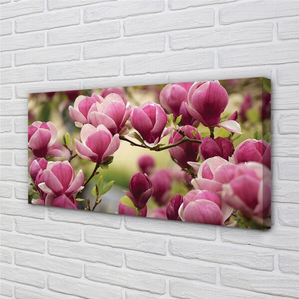 Obraz canvas kvety 100x50 cm