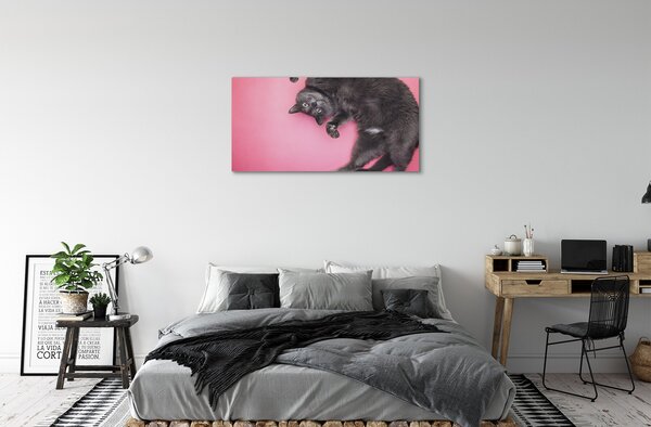 Obraz na plátne ležiace mačka 100x50 cm