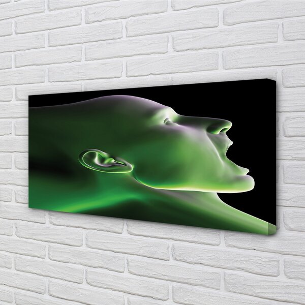 Obraz canvas V čele muž zelenú 100x50 cm