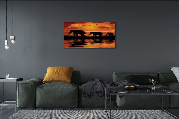 Obraz canvas slony West Lake 100x50 cm