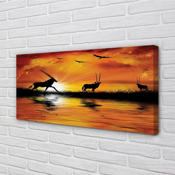 Obraz canvas Vtáky jazero západ 100x50 cm