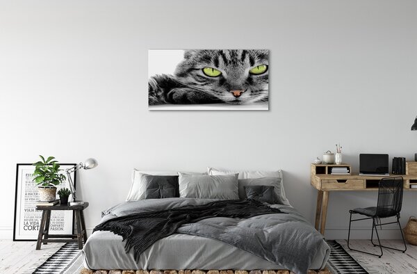 Obraz na plátne šedočierna mačka 100x50 cm