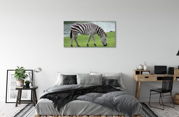 Obraz na plátne zebra 100x50 cm
