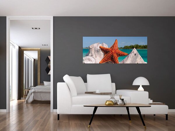 Obraz morskej hviezdice (120x50 cm)