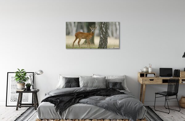 Obraz na plátne jeleň lesný 100x50 cm