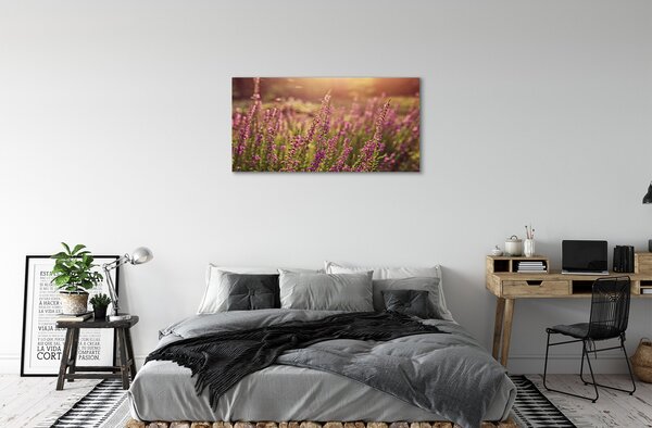 Obraz canvas heather pole 100x50 cm