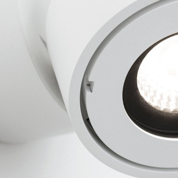 Orion AL 11-1220 - LED kúpeľňové bodové svietidlo HARVEY LED/15W/230V IP65 biele