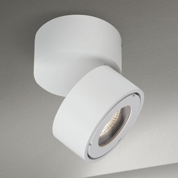 Orion AL 11-1220 - LED kúpeľňové bodové svietidlo HARVEY LED/15W/230V IP65 biele