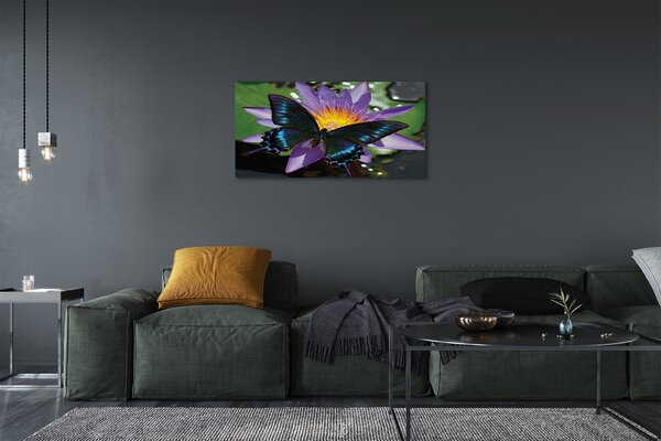 Obraz na plátne motýľ kvetina 100x50 cm
