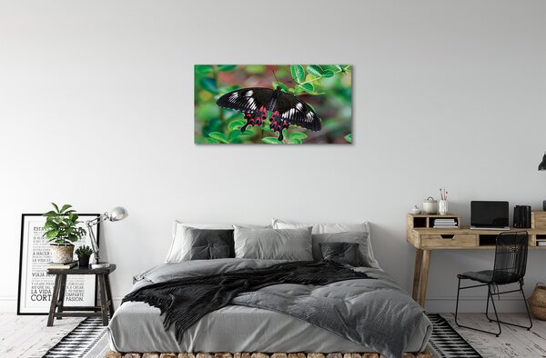 Obraz na plátne List farebný motýľ 100x50 cm