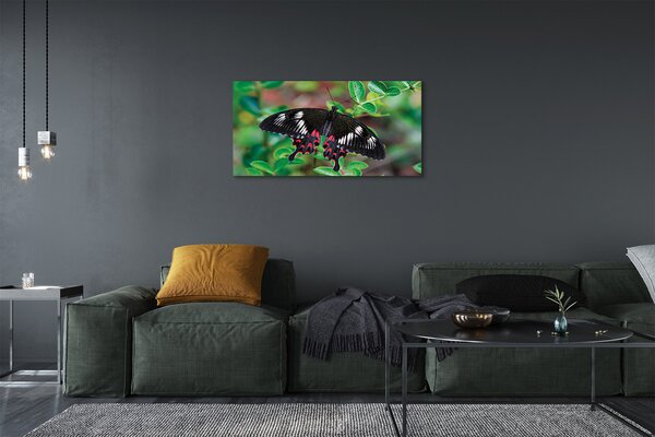 Obraz na plátne List farebný motýľ 100x50 cm