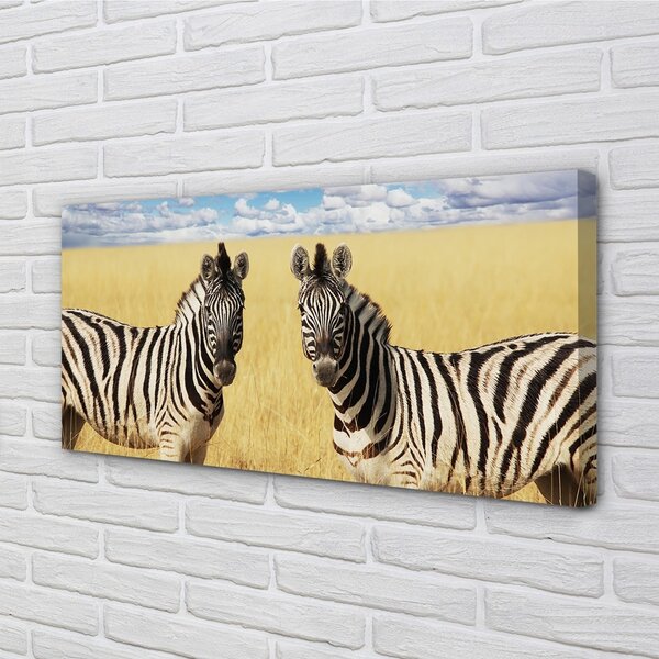 Obraz na plátne zebra box 100x50 cm