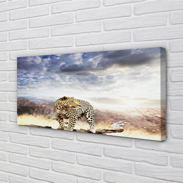 Obraz canvas panter mraky 100x50 cm