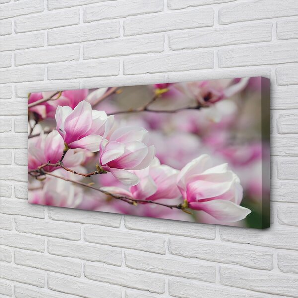 Obraz canvas kvety 100x50 cm