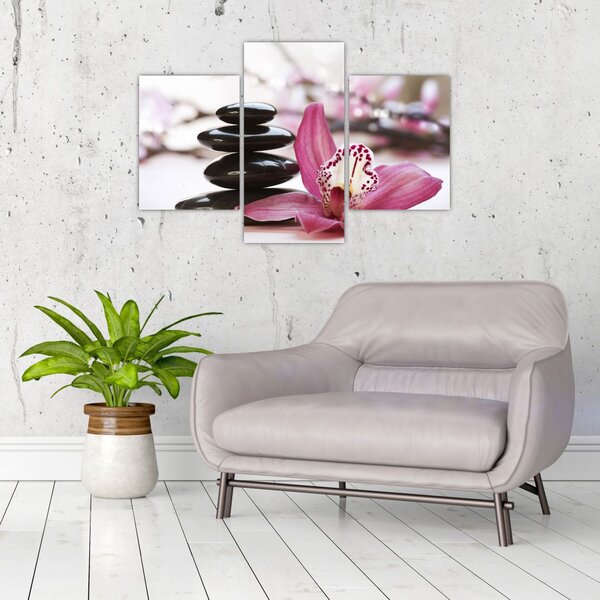 Obraz masážnych kameňov a orchidey na vode (90x60 cm)