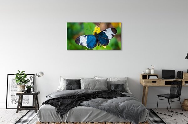 Obraz na plátne Farebný motýľ na kvety 100x50 cm
