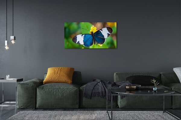 Obraz na plátne Farebný motýľ na kvety 100x50 cm