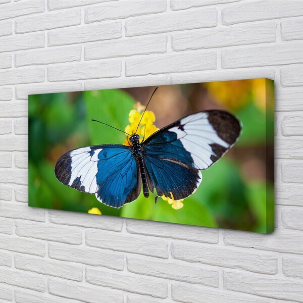 Obraz na plátne Farebný motýľ na kvety 100x50 cm