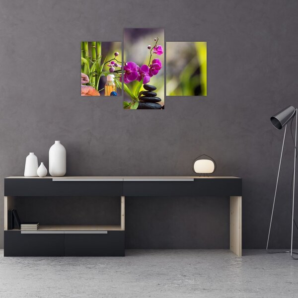 Obraz - spa and stones (90x60 cm)