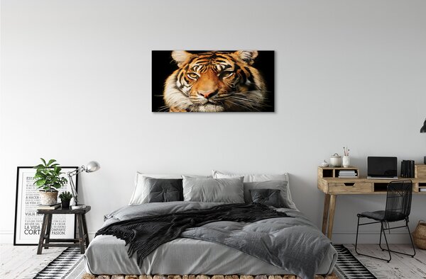 Obraz na plátne tiger 100x50 cm