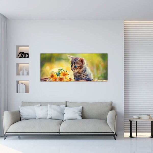 Obraz mačiatka pozerajúce sa na kvetinu (120x50 cm)