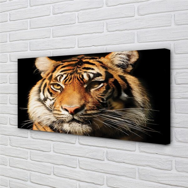 Obraz na plátne tiger 100x50 cm